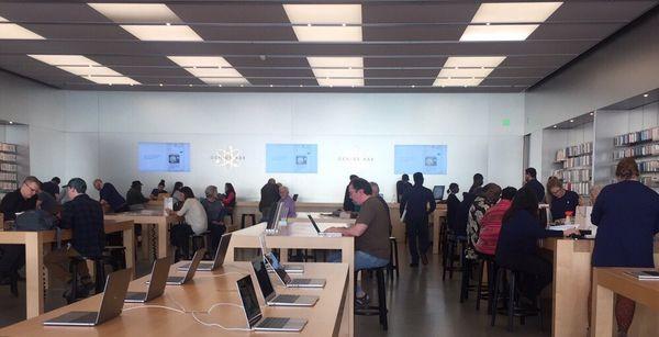 Great store, Apple could work on the customer experience a little more.