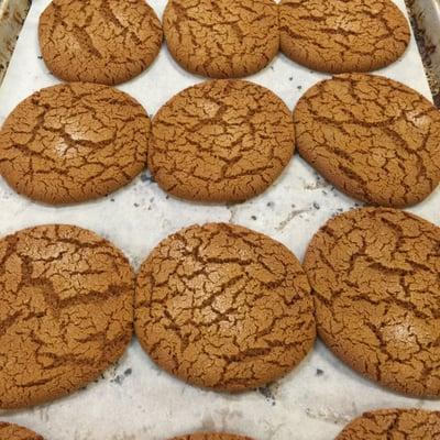 The best ginger snaps!