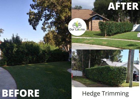 Hedge Trimming