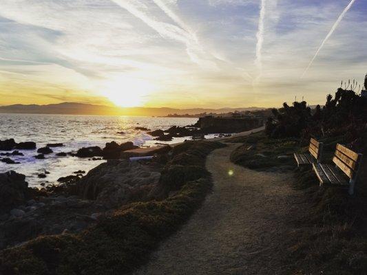 Nature shoot in Pacific Grove, CA