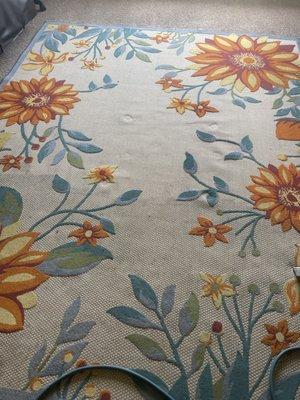 Raoul Carpet Cleaning and Restoration