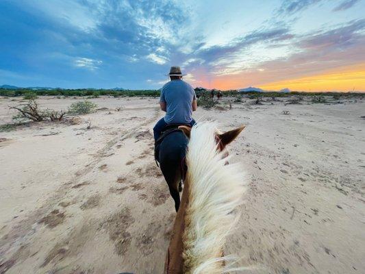 Marana Az WAY OUT WEST RANCH