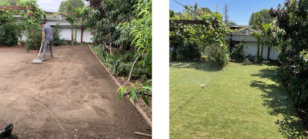 New sod and sprinkler system for homeowner in Santa Ana, CA.