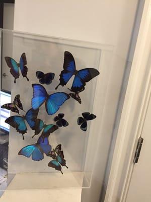 Pretty butterflies at the front desk!