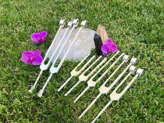 Tuning forks, crystals used in a Biofield Tuning session