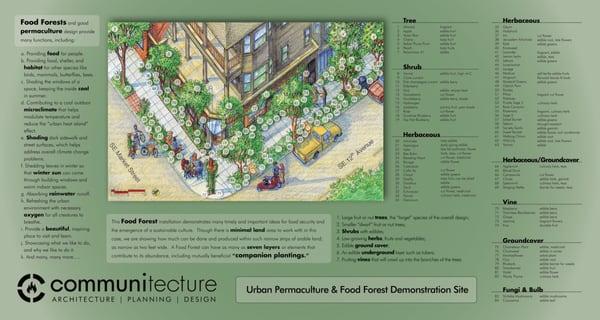 Urban permaculture & food forests possible on our office's demonstration site.