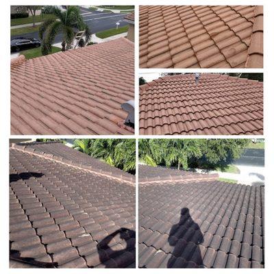 Soft wash roof cleaning