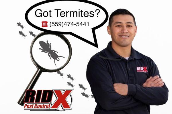 Need a Termite inspection or Fungus dry rot repairs? I can help!