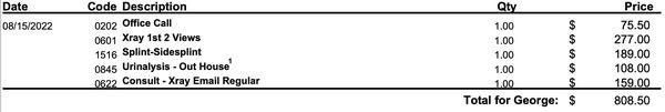 Vet bill from the day he was picked up from Glendale Pet Resort when he needed an emergency visit due to the injury he sustained there.