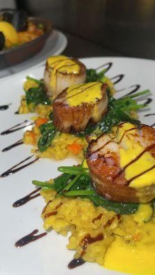 Scallops on Risotto