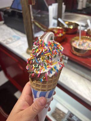 Twist ice cream in waffle cone. The chocolate tasted like cocoa powder and wasn't great.