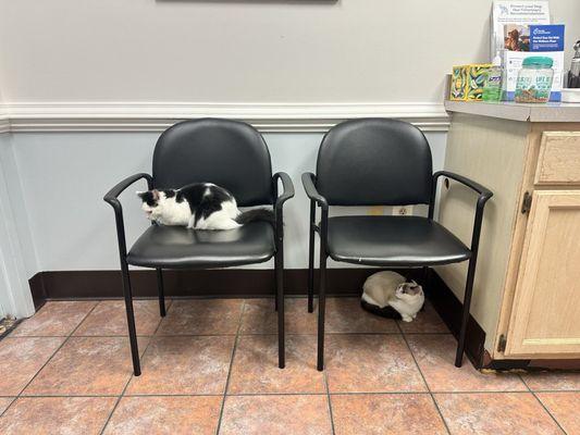 Waiting for the doctor