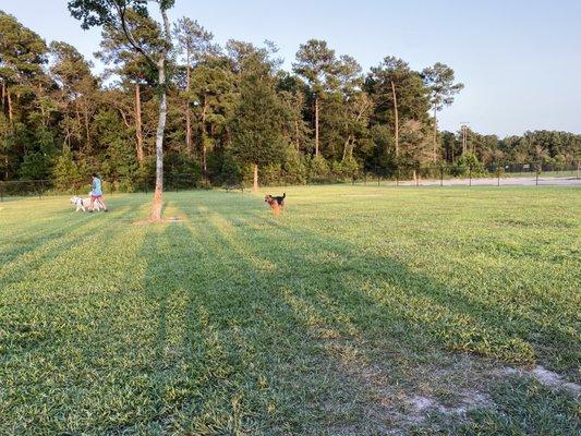 Dog park