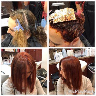 Transformation By Eli. Infused richness of two Colors. Finished with the Blow dry.