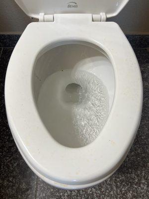 Urine spots all around the toilet. I cleaned it myself!