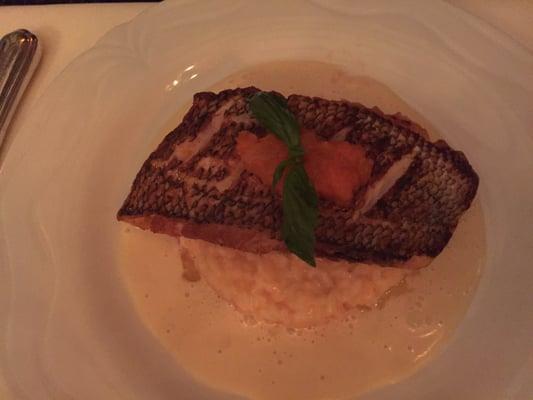 Atlantic Sea Bass over Lobster Risotto