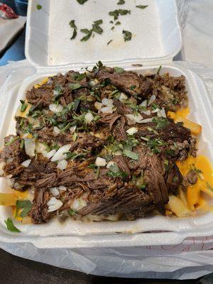 Asada/Birria mixed fries!