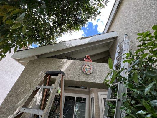 Termite damage wood repairs.