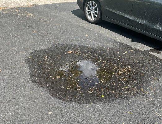 Water sitting in new driveway day after rain