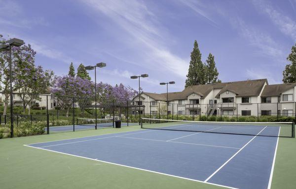 Tennis Court and Pickle Ball Court