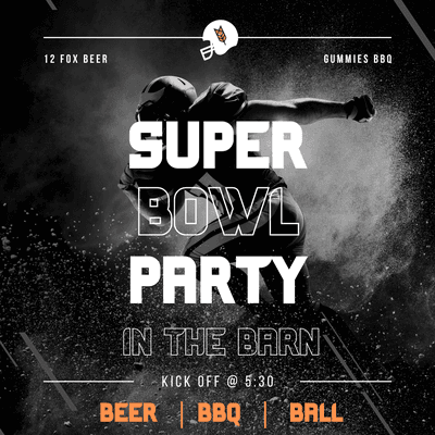 Super Bowl Party