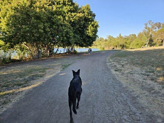 Guajome Regional Park