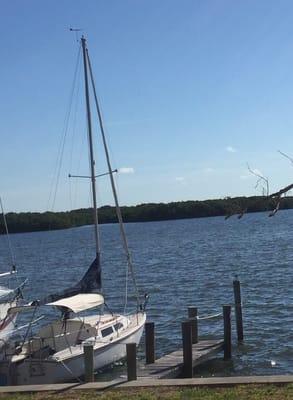 Looking out from their docks towards Sarasota Bay.