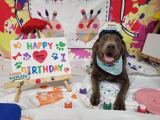 Braxton celebrates his 2 yr birthday at Happy Camper themed doggie party.