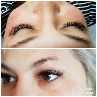 Flutter Lash Bar