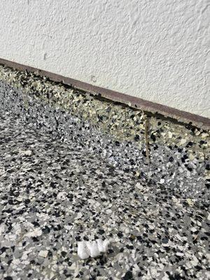 Rush & Reef Concrete Coatings