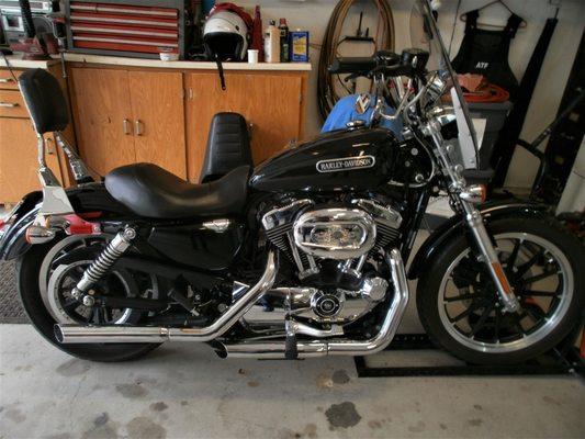 2007 Sportster Low