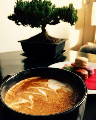 Latte among the bonsai trees