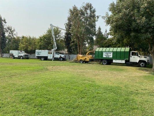 Our Tree crew hard at work.