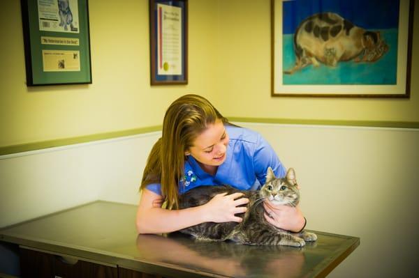 We love our feline patients, too!