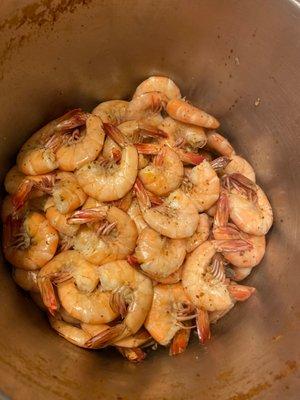 4.2 lbs of shrimp cooked