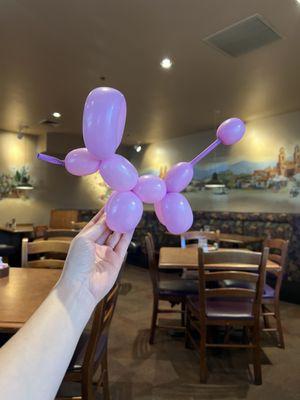 How cute !!! I got a poodle  ballon from our server.