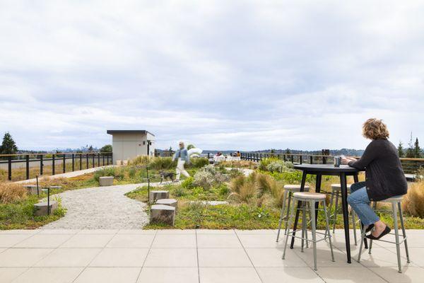 JG Whittier Apartments Rooftop, Seattle WA - Photo by Andrew Nam