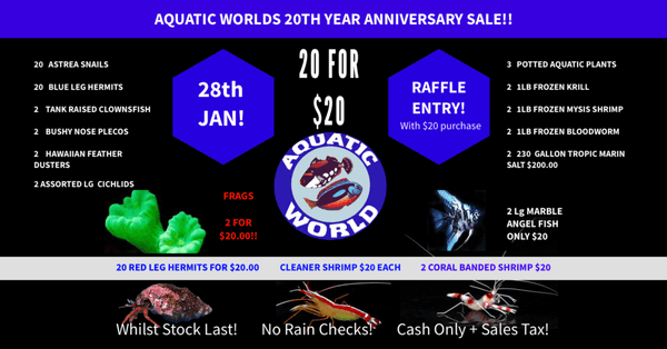 Aquatic World