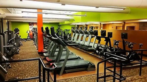 Lots of options for cardio, including Virtual Reality Bikes and Incline Trainers!