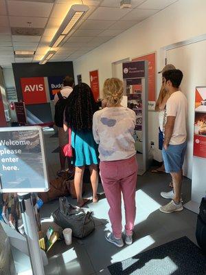 Avis Car Rental