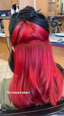 Gorgeous color and so vibrant!