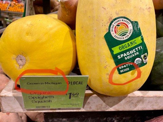 Squash from Michigan (Mexico)