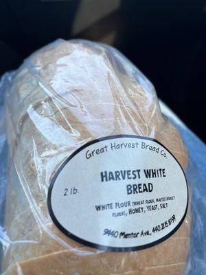 Harvest White - Everyday