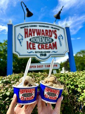 Hayward's Ice Cream