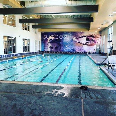 jr size Olympic heated lap pool