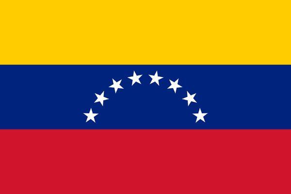 Venezuelan Flag