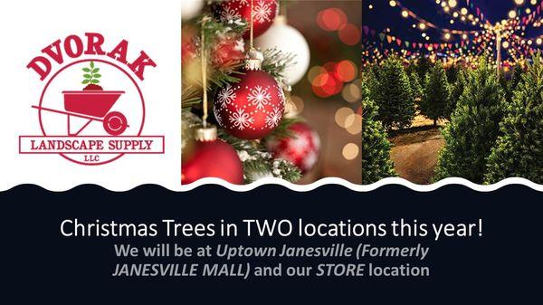 New for 2021: Two locations for Christmas Trees!