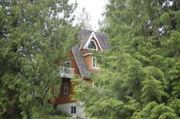 Hidden among the trees, the Green Cat B&B