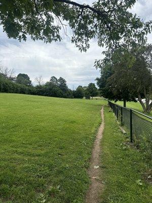 Fenced in dog park