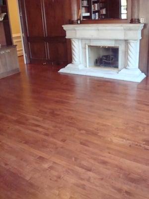 Stained Maple Hardwood Floor Bellevue